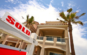 The Law Office of Tamara L. Peterson